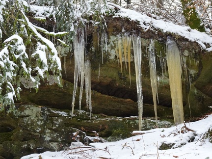 World Runners Consdorf 2024.01.21 (11)