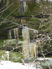 World Runners Consdorf 2024.01.21 (12)