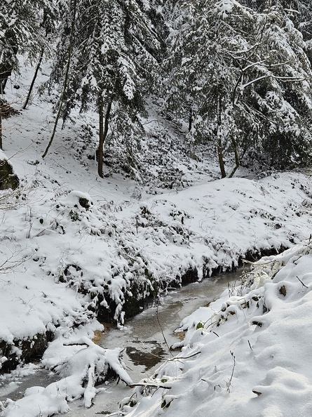 World Runners Consdorf 2024.01.21. (34).jpg