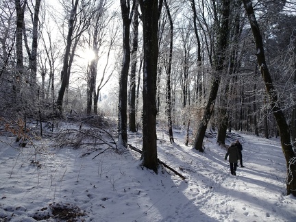 World Runners Consdorf 2024.01.21 (3)