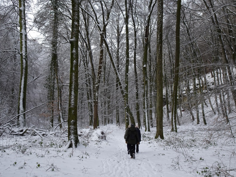 World Runners Consdorf 2024.01.21 (5).JPG