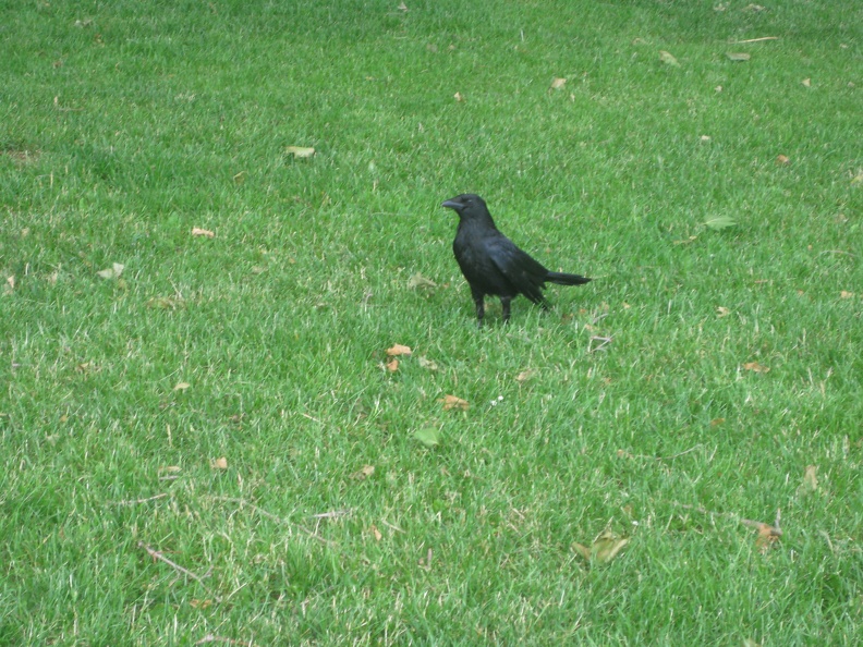 IMG_3756.JPG