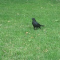 IMG 3756