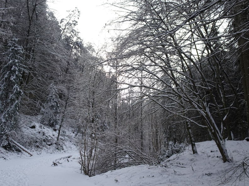 World Runners Consdorf 2024.01.21 (8).JPG