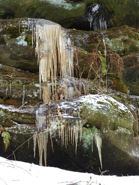 World Runners Consdorf 2024.01.21 (10).JPG