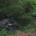 IMG 3593