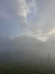 WhatsApp Image 2026-09-12 at 07.43.44 (1)